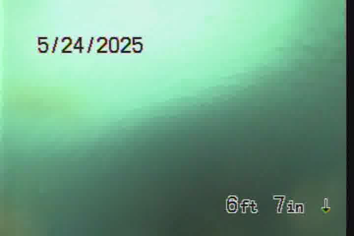 Frame